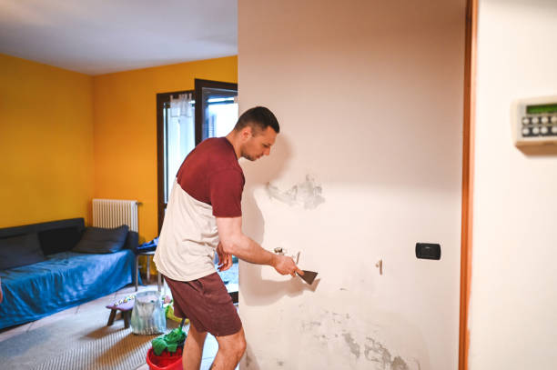 Best Post-Flood Mold Remediation in Wilberforce, OH